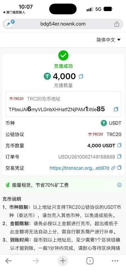这是一张手机界面的截图,显示了玩家在该平台的一笔充值成功的记录。页面显示“充值成功”,金额为“4,000”。
